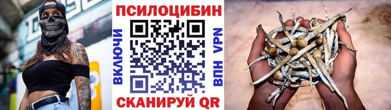 Галлюциногенные грибы мицелий Изобильный