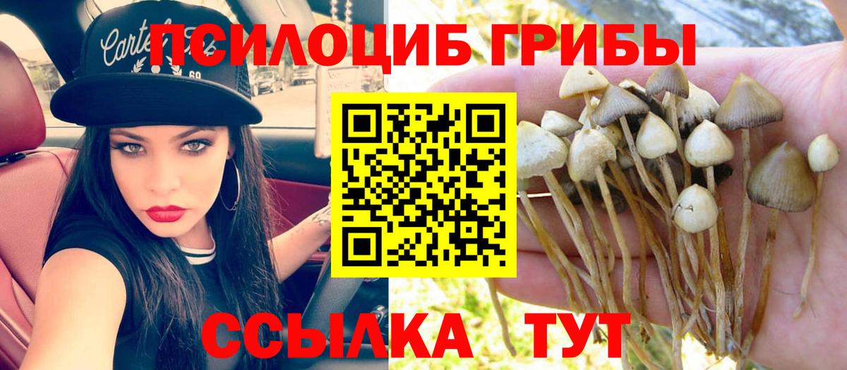Галлюциногенные грибы прущие грибы  Галлюциногенные грибы Psilocybe  Изобильный  закладки  Вход с VPN 