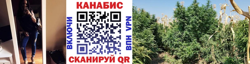 Шишки марихуана гибрид  где купить наркоту  Изобильный 